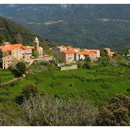 Casadimela Porto-Vecchio (Corsica) Exterior foto