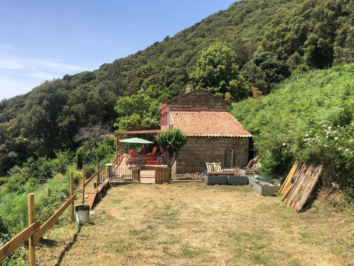 Casadimela Porto-Vecchio (Corsica) Exterior foto